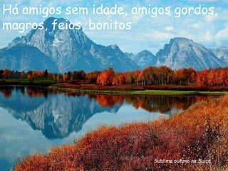 Sublime outono na Suiça Há amigos sem idade, amigos gordos, magros, feios, bonitos 