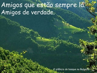 O silêncio do bosque na Bulgaria Amigos que estão sempre lá. Amigos de verdade. 