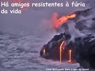 Lava deslizando para o mar no Hawai
Há amigos resistentes à fúria
da vida
 