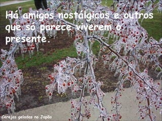Cerejas geladas no Japão
Há amigos nostálgicos e outros
que só parece viverem o
presente.
 