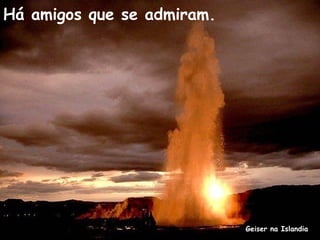 Geiser na Islandia
Há amigos que se admiram.
 
