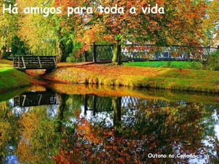 Outono no Canadá
Há amigos para toda a vida
 