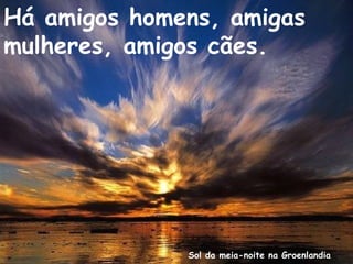 Sol da meia-noite na Groenlandia
Há amigos homens, amigas
mulheres, amigos cães.
 