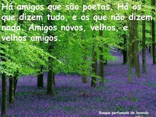 Bosque perfumado de lavanda
Há amigos que são poetas. Há os
que dizem tudo, e os que não dizem
nada. Amigos novos, velhos, e
velhos amigos.
 