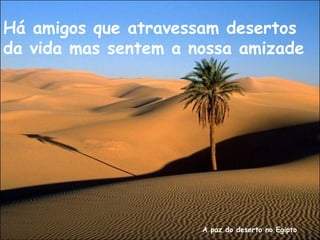 A paz do deserto no Egipto
Há amigos que atravessam desertos
da vida mas sentem a nossa amizade
 