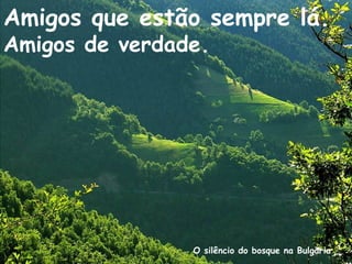 O silêncio do bosque na Bulgaria
Amigos que estão sempre lá.
Amigos de verdade.
 