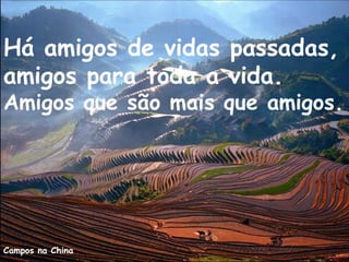 Campos na China
Há amigos de vidas passadas,
amigos para toda a vida.
Amigos que são mais que amigos.
 