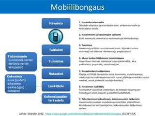 Mobiilibongaus 
1. Havainto-orientaatio Tehtävän ohjeistus ja orientaatio esim. virikemateriaalin ja keskustelun avulla. 2. Havainnointi ja havaintojen taltiointi 
Esim. valokuvia, videoita tai nauhoitettuja äänitiedostoja. 
3. Tunnistus Havainnot pyritään tunnistamaan (esim. lajimääritys tms. vastaava) heti aidossa tilanteessa ja ympäristössä. 
4. Muun tiedon liittäminen tunnistukseen Havaintoon liitetään lisätietoja kuten päivämäärä, aika, paikkatieto, ympäristö, olosuhteet jne. 
5. Notaatioiden tuottaminen Oppija voi liittää havaintoon omia huomioita, muistiinpanoja, merkintöjä tai vaikkaannotaatioita kuvan päälle (esimerkiksi nuolin merkitä, mistä piirteistä lintulajin tunnisti). 6. Havainnon luokittelu Tunnistetut havainnot luokitellaan, eli liitetään laajempaan hierarkiaan (esim. kasvien ja eläinten luokittelut). 7. Tallentaminen kokoelmaan, kokonaisuuden tarkastelu Havainnoista voidaan muodostaa esimerkiksi yhteisöllinen käsitekaavio tai karttapohja tms. kokonaisuuden tarkastelua varten. 
Lähde: Silander 2012, https://sites.google.com/site/mobiilillaluonnollisesti/mobiili-bongaus (CC-BY-SA)  