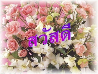 มุมมองโรงพยาบาลกองทัพบกกับ HA - Ha & Army hospitals 