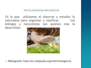 Inteligencia naturistaEs la que  utilizamos al observar y estudiar la naturaleza para organizar y clasificar.       Los biólogos y naturalistas son quienes más la desarrollan.Bibliografía: http://es.wikipedia.org/wiki/Inteligencia