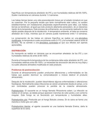 frigoríficas con temperaturas alrededor de 0ºC y con humedades relativas del 95-100%.
Suelen mantenerse en cámaras durante 1-3 semanas.
Las habas tiernas tienen una vida posrecolección breve por el estado inmaduro en que
se cosechan. Por la pequeña escala que tiene normalmente este cultivo, no existen
establecimientos con instalaciones preparadas específicamente para ellas. Las habas
tiernas se benefician, al igual que todo producto altamente perecedero, de un descenso
rápido de la temperatura. Este proceso de enfriamiento, es conveniente realizarlo lo más
rápido posible después de la recolección. A temperatura ambiente, el haba se conserva
alrededor de 4 días, mientras que en cámara puede mantenerse entre 1-3 semanas.
La conservación de las habas en cámara frigorífica se realiza en una atmósfera
modificada, la temperatura suele encontrarse entre 0-1ºC y la humedad relativa entre el
85-95%. No se somete a una atmósfera controlada ya que sus efectos son apenas
apreciables.
DISTRIBUCIÓN
Su transporte se realiza en cámaras que se encuentran alrededor de los 0ºC y con
humedades relativas de entre el 95-100%
Durante el transporte la temperatura de los containeres debe estar alrededor de 0ºC, con
humedades relativas entre 95-100%. La necesidad de renovación del aire es muy baja y
no suele utilizarse atmósfera modificada en este producto.
Problemas de postrecolección
Durante el almacenamiento pueden producirse alteraciones y enfermedades en las
habas que pueden disminuir su comercialización o incluso destruir el producto
almacenado.
Después de la recolección, pueden desarrollarse algunas enfermedades o alteraciones
fisiológicas. Normalmente estas infecciones se vienen arrastrando desde el campo, si no
son controladas pueden provocar la perdida de la cosecha almacenada.
Podredumbre: El causante es un hongo llamado Rhizoctonia solani. La infección se
realiza en el campo, se delata porque aparecen manchas de color pardo y con contorno
irregular. Este hongo se ve favorecido por temperaturas y humedades altas.
Podredumbre gris: Producida por el hongo Botrytis cinerea. En la vaina se forma una
mancha o moho gris con vello.
Podredumbre blanda: el agente causante es una bacteria llamada Erwina, daña la
superficie de la vaina.
 