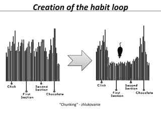 Creation of the habit loop

“Chunking” - zhlukovanie

 