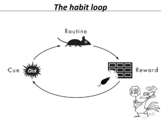 The habit loop

 