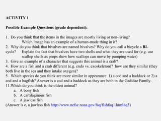ACTIVITY 1 Possible Example Questions (grade dependent): 1.  Do you think that the items in the images are mostly living or non-living?  Which image has an example of a human-made thing in it? 2.  Why do you think that bivalves are named bivalves? Why do you call a bicycle a  BI -cycle?  Explain the fact that bivalves have two shells and what they are used for (e.g. use  scallop shells as props show how scallops can move by pumping water) 3.  Give an example of a character that suggests this animal is a crab? 4.  How are a fish and a crab different (e.g. endo vs. exoskeleton)?  how are they similar (they both live in the sea and they intake oxygen)? 5.  Which species do you think are more similar in appearance  1) a cod and a haddock or 2) a cod and a hagfish? Answer is a cod and a haddock as they are both in the Gadidae Family. Which do you think is the oldest animal?  A bony fish A   cartilaginous fish A jawless fish  (Answer is c, a jawless fish  http://www.nefsc.noaa.gov/faq/fishfaq1.html#q3 ) 
