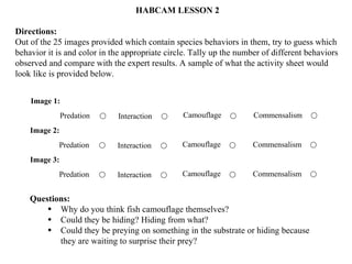 HABCAM LESSON 2 Directions: Out of the 25 images provided which contain species behaviors in them, try to guess which behavior it is and color in the appropriate circle. Tally up the number of different behaviors observed and compare with the expert results. A sample of what the activity sheet would look like is provided below. Questions:   Why do you think fish camouflage themselves? Could they be hiding? Hiding from what? Could they be preying on something in the substrate or hiding because they are waiting to surprise their prey?  Predation  Interaction  Camouflage  Commensalism  Image 1: Predation  Interaction  Camouflage  Commensalism  Image 2: Predation  Interaction  Camouflage  Commensalism  Image 3: 