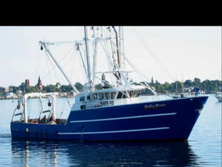 Fishermen have a wealth of at-sea experience and are essential to the success of cooperative research projects 