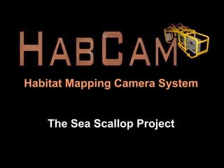 Habitat Mapping Camera System The Sea Scallop Project 