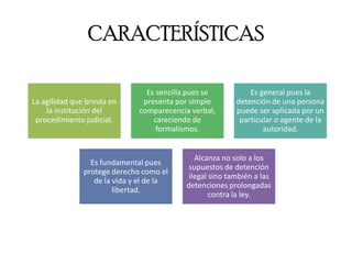 CARACTERÍSTICAS 