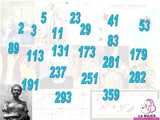 2 3 5 11 23 29 41 53 83 89 113 131 173 179 191 237 251 281 282 293 359 