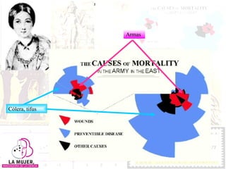 Cólera, tifus Armas 