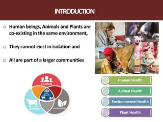 One World One Health Approach | PPTX
