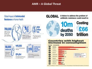 One World One Health Approach