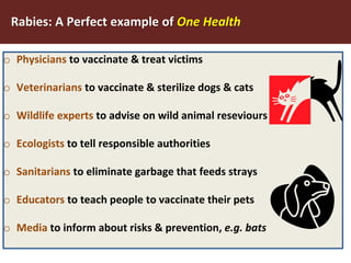 One World One Health Approach