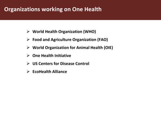 One World One Health Approach