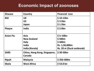 One World One Health Approach