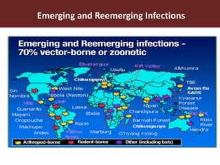 One World One Health Approach