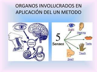 Lectura por párrafosMétodos basados en habilidades de comunicación, tales como lectura y escucha.Métodos basados en condensación de información, sumarización y el uso de palabras claveMétodo basados en imágenes visuales
