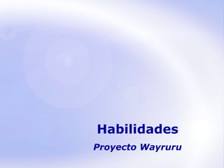 Habilidades Proyecto Wayruru 