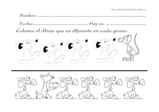 Nombre: ......................................................................................
Fecha:............................................ Hoy es: ................................
Colorea el dibujo que es diferente en cada grupo.
Desarrollo de Habilidades Básicas.
 