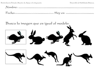 Nombre: ......................................................................................
Fecha:............................................ Hoy es: ................................
Busca la imagen que es igual al modelo:
Benito García Peinado. Maestro de Apoyo a la integración. Desarrollo de Habilidades Básicas.
 