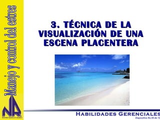 3. TÉCNICA DE LA VISUALIZACIÓN DE UNA ESCENA PLACENTERA Manejo y control del estres 