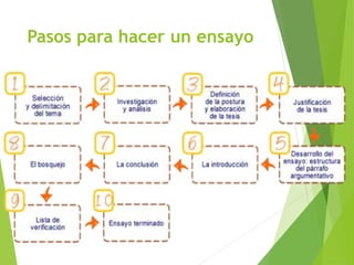 Pasos para hacer un ensayo
 
