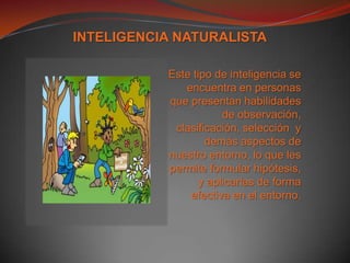 INTELIGENCIA NATURALISTAEste tipo de inteligencia se encuentra en personas que presentan habilidades de observación, clasificación, selección  y demás aspectos de nuestro entorno, lo que les permite formular hipótesis, y aplicarlas de forma efectiva en el entorno.
