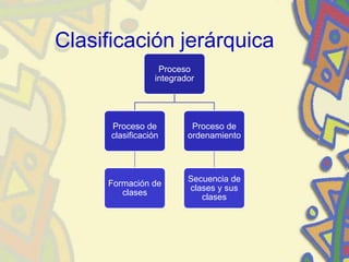 Clasificación jerárquica
Proceso
integrador
Proceso de
clasificación
Formación de
clases
Proceso de
ordenamiento
Secuencia de
clases y sus
clases
 