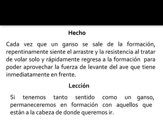 Cada vez que un ganso se sale de la formación,
repentinamente siente el arrastre y la resistencia al tratar
de volar solo y rápidamente regresa a la formación para
poder aprovechar la fuerza de levante del ave que tiene
inmediatamente en frente.
Si tenemos tanto sentido como un ganso,
permaneceremos en formación con aquellos que
están a la cabeza de donde queremos ir.
HechoHecho
Lección
 