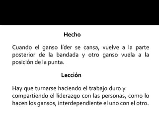 Hay que turnarse haciendo el trabajo duro y
compartiendo el liderazgo con las personas, como lo
hacen los gansos, interdependiente el uno con el otro..
Cuando el ganso líder se cansa, vuelve a la parte
posterior de la bandada y otro ganso vuela a la
posición de la punta.
HechoHecho
LecciónLección
 