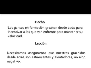 Los gansos en formación graznan desde atrás para
incentivar a los que van enfrente para mantener su
velocidad.
Necesitamos asegurarnos que nuestros graznidos
desde atrás son estimulantes y alentadores, no algo
negativo.
HechoHecho
LecciónLección
 