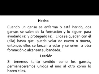 Cuando un ganso se enferma o está herido, dos
gansos se salen de la formación y lo siguen para
ayudarlo (a) y protegerlo (a). Ellos se quedan con él
(ella) hasta que, pueda volar de nuevo o muera,
entonces ellos se lanzan a volar y se unen a otra
formación o alcanzan su bandada.
Si tenemos tanto sentido como los gansos,
permaneceremos unidos el uno al otro como lo
hacen ellos.
LecciónLección
HechoHecho
 