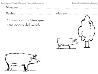Benito García Peinado. Maestro de Apoyo a la Integración.                 Desarrollo de Habilidades Básicas.

      Nombre: ......................................................................................
      Fecha:............................................ Hoy es: ................................

       Colorea el cochino que
       está cerca del árbol.
 