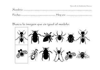 Desarrollo de Habilidades Básicas.

Nombre: ......................................................................................
Fecha:............................................ Hoy es: ................................


Busca la imagen que es igual al modelo:
 