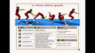 Habilidades gimnásticas