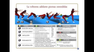 Habilidades gimnásticas