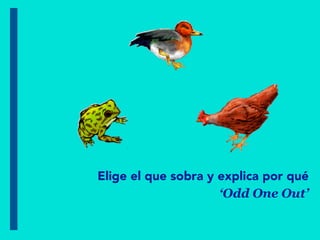 Elige el que sobra y explica por qué
‘Odd One Out’
 