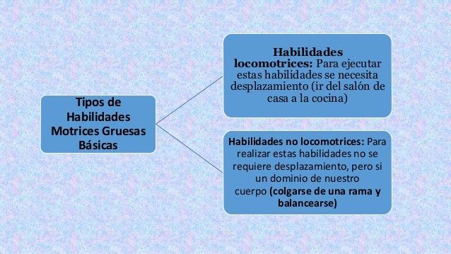 Habilidades motoras gruesas basicas