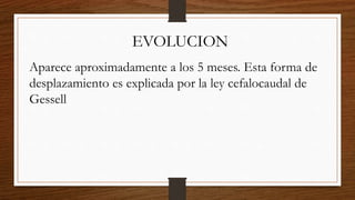 EVOLUCION
Aparece aproximadamente a los 5 meses. Esta forma de
desplazamiento es explicada por la ley cefalocaudal de
Gessell
