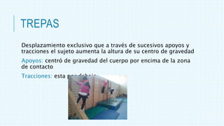 TREPAS
Desplazamiento exclusivo que a través de sucesivos apoyos y
tracciones el sujeto aumenta la altura de su centro de gravedad
Apoyos: centró de gravedad del cuerpo por encima de la zona
de contacto
Tracciones: esta por debajo
 